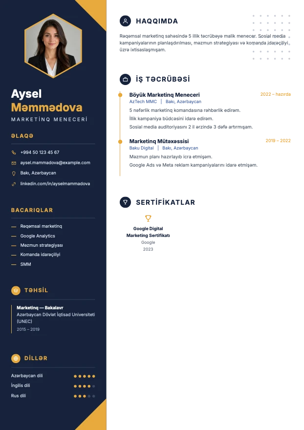 Elit şablonunda hazırlanmış nümunə CV